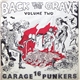 Various - Back From The Grave Volume Two